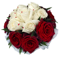 a bouquet of red and white roses